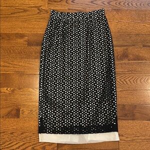Derek Lam Skirt